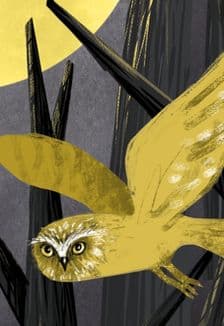 Зверский детектив