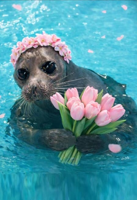 Весна в Нерпинарии