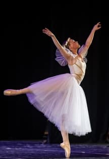 Концертная программа ''На крыльях вдохновения ''