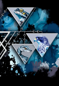 Королевство кривых зеркал