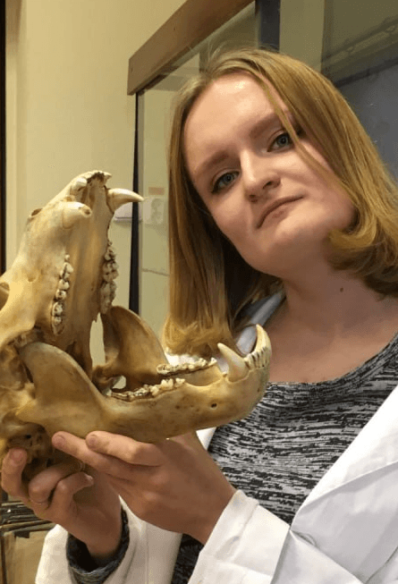 Уральские хищники: пещерные медведи. Лекция