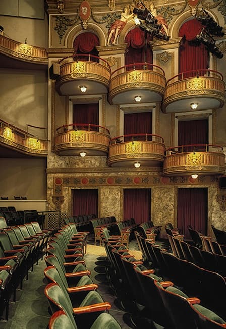 История маленького Лесовичка. Пуговка Шмуговка королева страны потерянных пуговиц. Спектакли