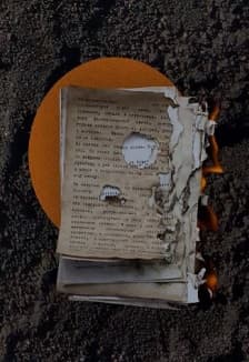 451 градус по Фаренгейту