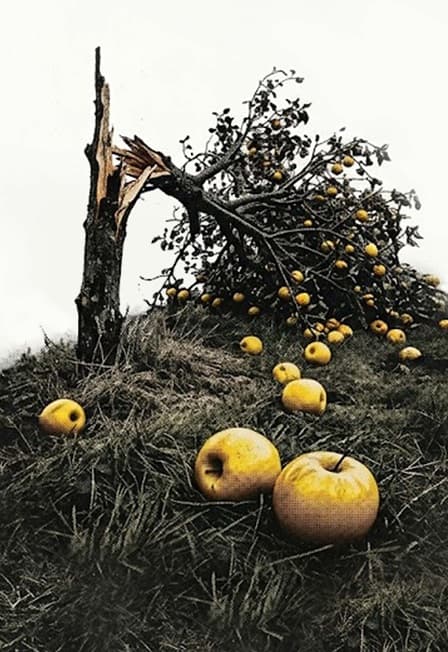 Все мои сыновья