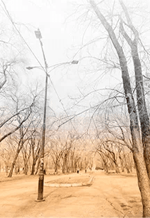 Неужели не Я...