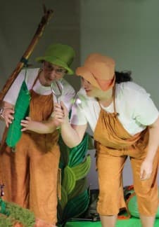 Где бабочка?