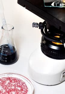 Микрогерои и микрозлодеи