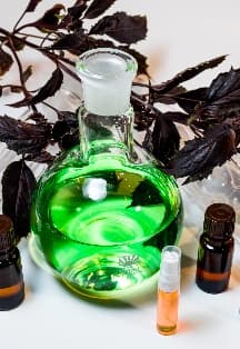 Тайна ароматов