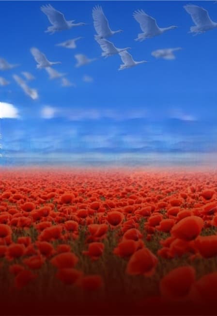 Память сердца: музыка, которая объединяет