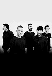 Звери в г. Кирово-Чепецк