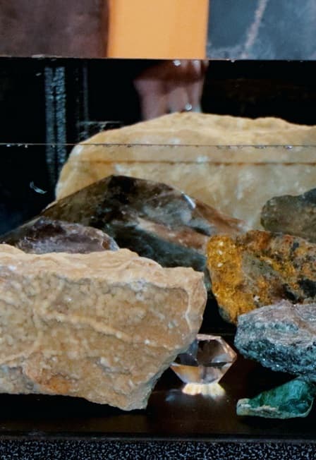 День геолога в Вятском палеонтологическом музее