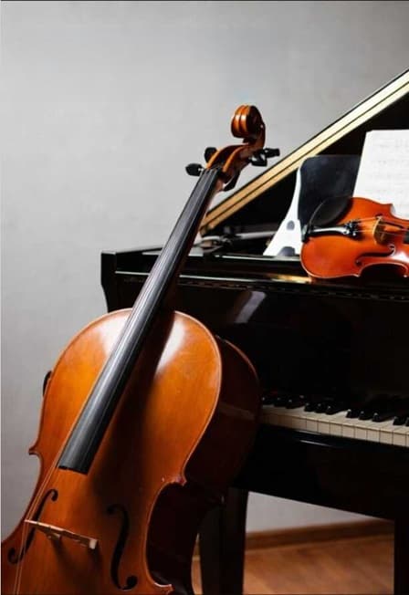 Трио солистов Вятской филармонии