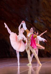 Спящая красавица