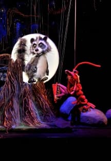 Крошка Енот