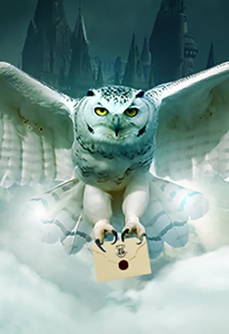 Гарри Поттер. Оркестр Sonorus