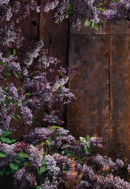 Любить на войне