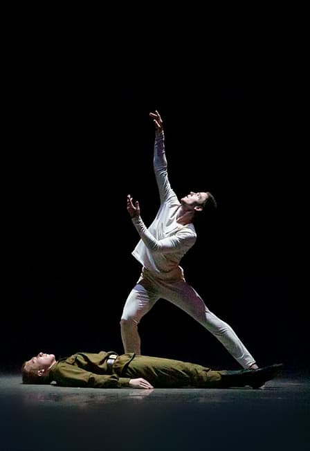 Лебединое озеро