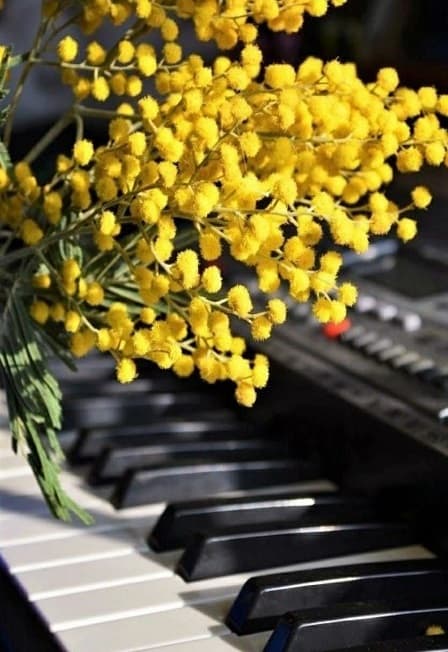 Фортепианная школа Казанской консерватории. Новое поколение