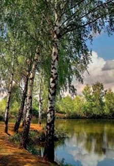 Всему начало здесь – в краю родном