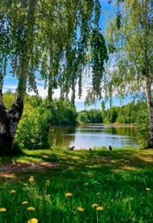 Прогулка по родным улицам. Экскурсия