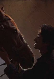 Тарлан / Кинопоказ