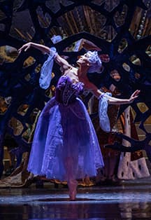 Спящая красавица