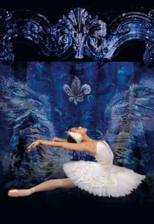 Лебединое озеро хореография Васильева