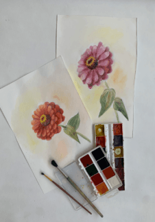 Цветок циннии акварелью. Мастер-класс