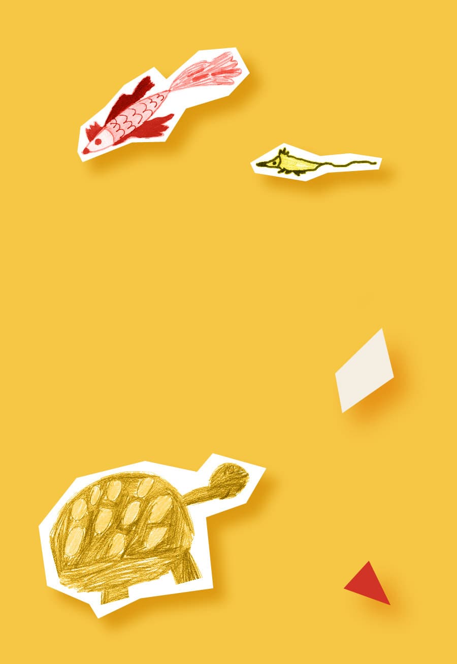 Детский альбом в творчестве композиторов. Встреча для детей