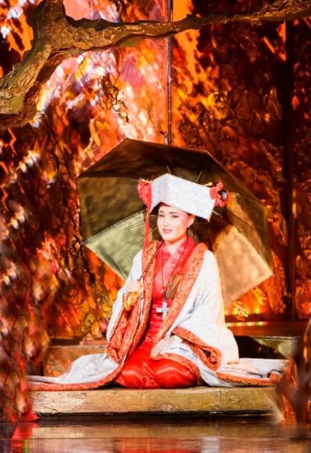 Мадам Баттерфляй