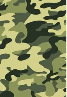 Воевали наши деды. Военно-патриотическая игра