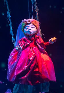 Аленький цветочек