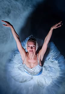 Лебединое озеро