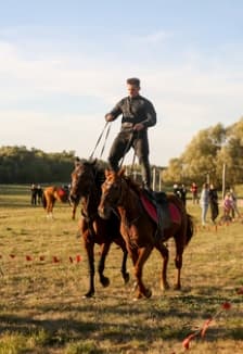 Фестиваль Дворянской охоты