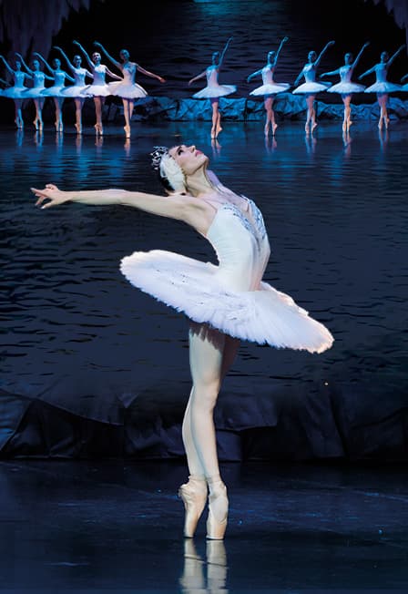 Лебединое озеро