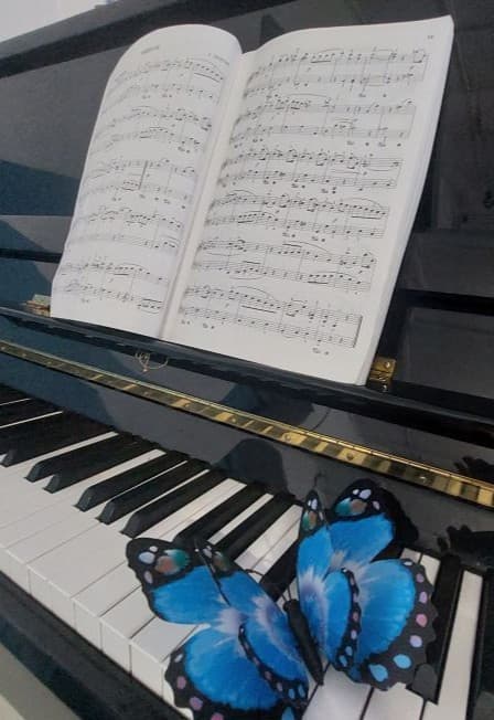 Концерт «Мелодии души»