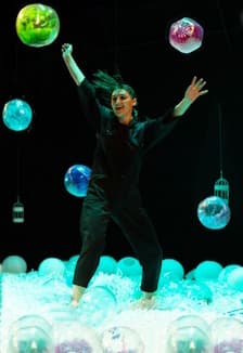 Чёрная курица