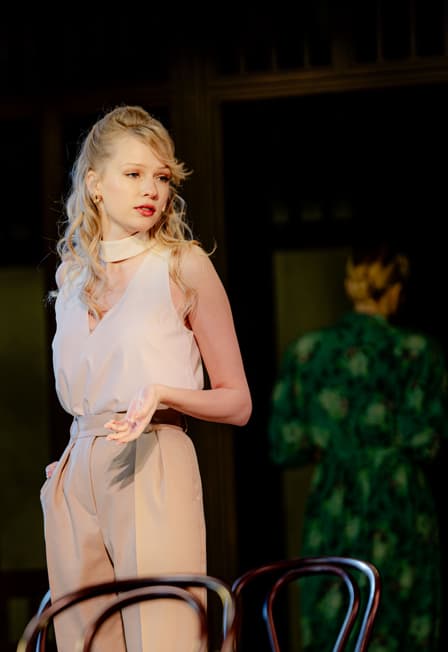 Чайка с продолжением