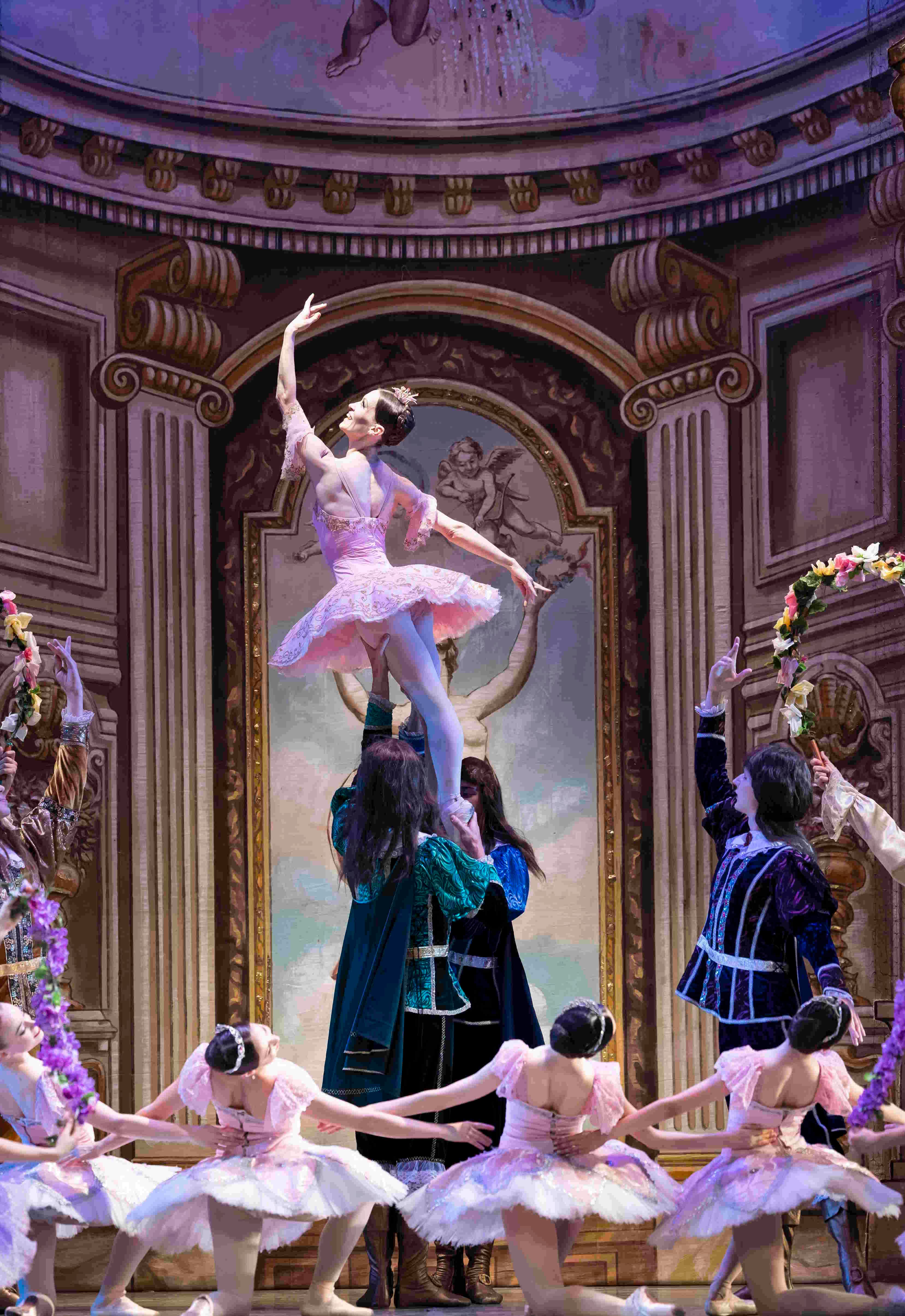 Спящая красавица