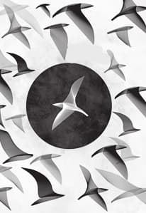 Чайка по имени Джонатан Ливингстон