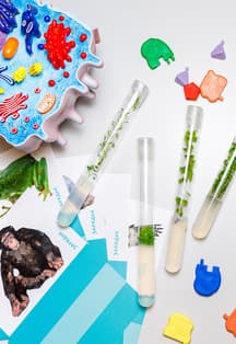 Тайны биотехнологии