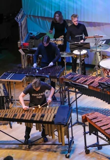 Ансамбль солистов Rhythm Synergy