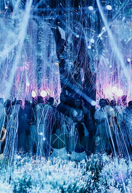 EVOLUTION: PRIME ERA