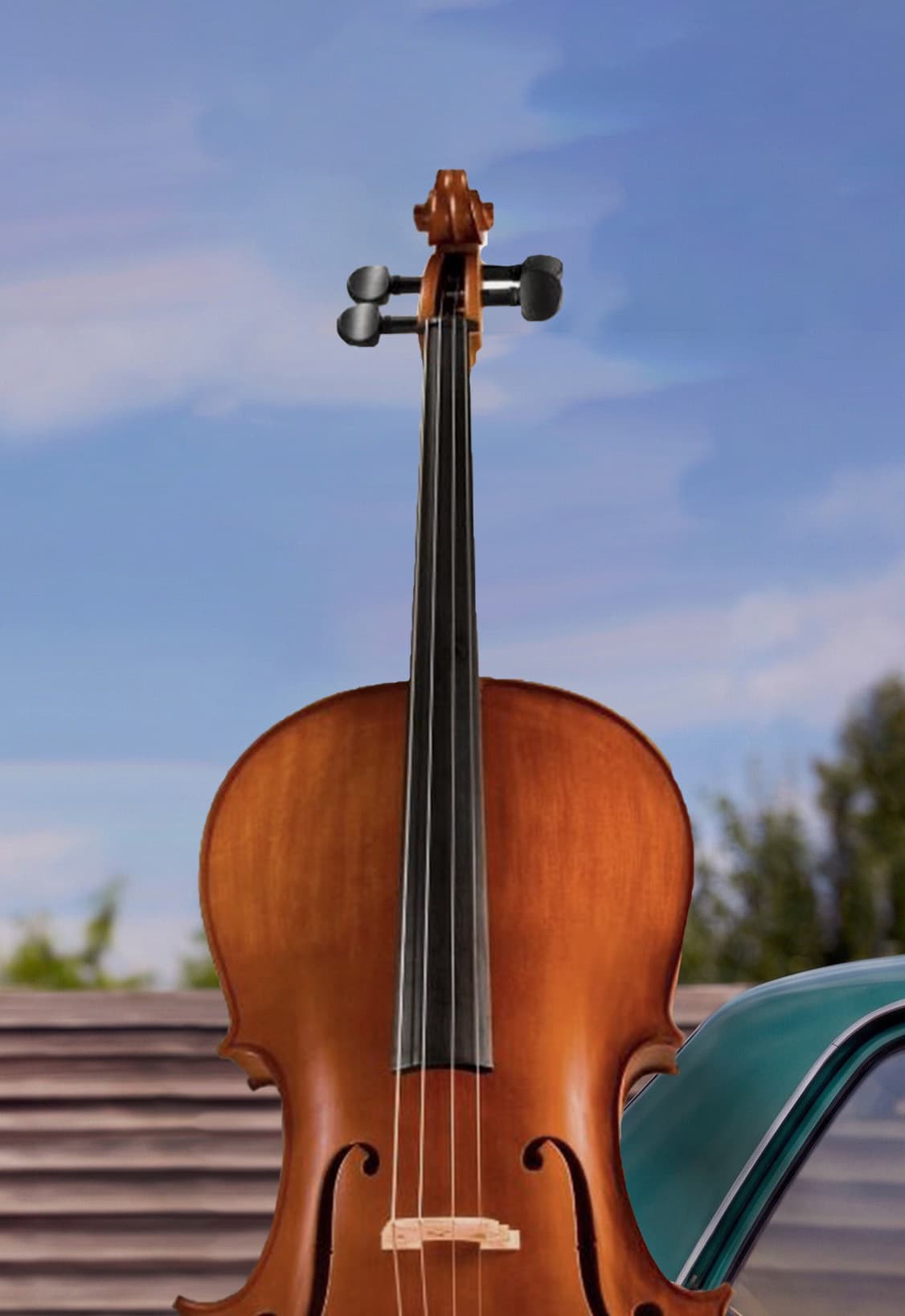 Lana Del Rey в исполнении струнного оркестра