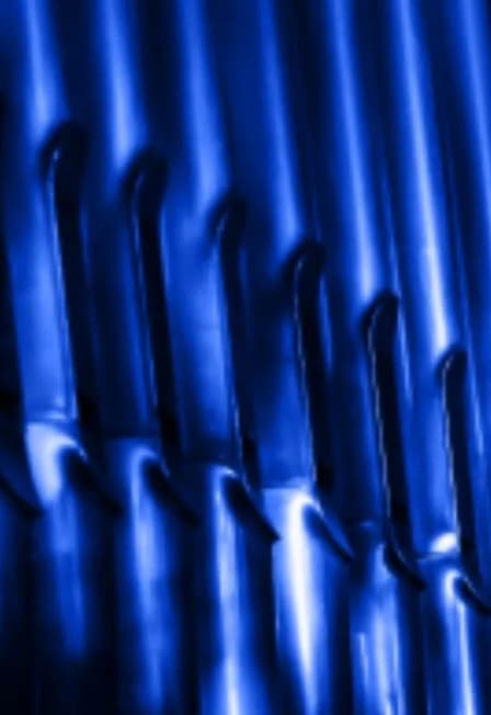 Эмануэле Карди, орган. Маркус Айхенлауб, орган