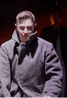 Бессмертники