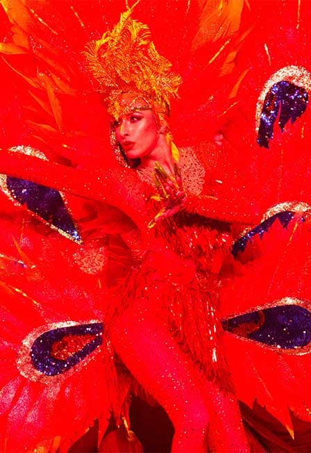 Балет Аллы Духовой «До встречи в Сказке»