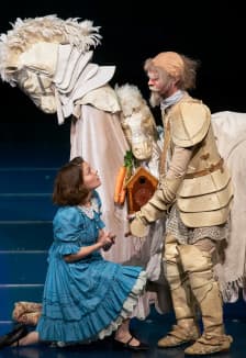 Алиса в Зазеркалье