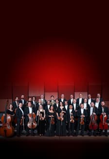 Камерный оркестр «Виртуозы Москвы»