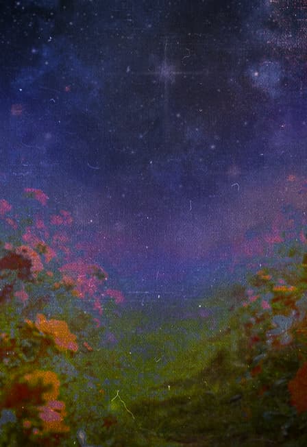 Фестиваль Сновидений